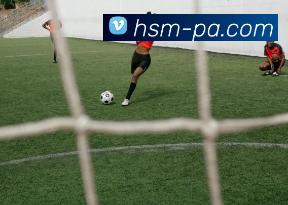 PA官网平台生态图